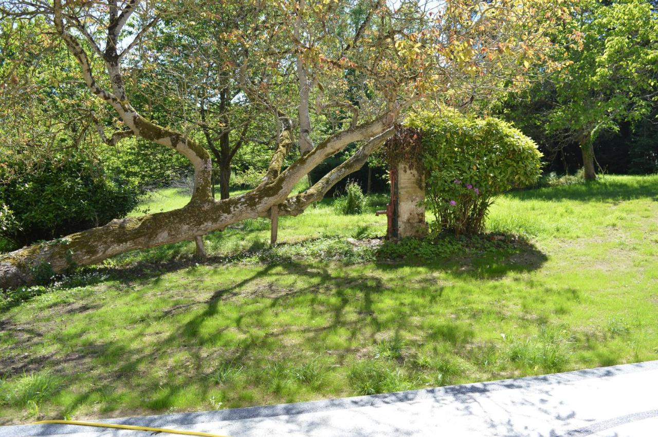 Maison Typique - Tres Grand Jardin - 7Km De La Mer Fontaine-Henry Exteriér fotografie